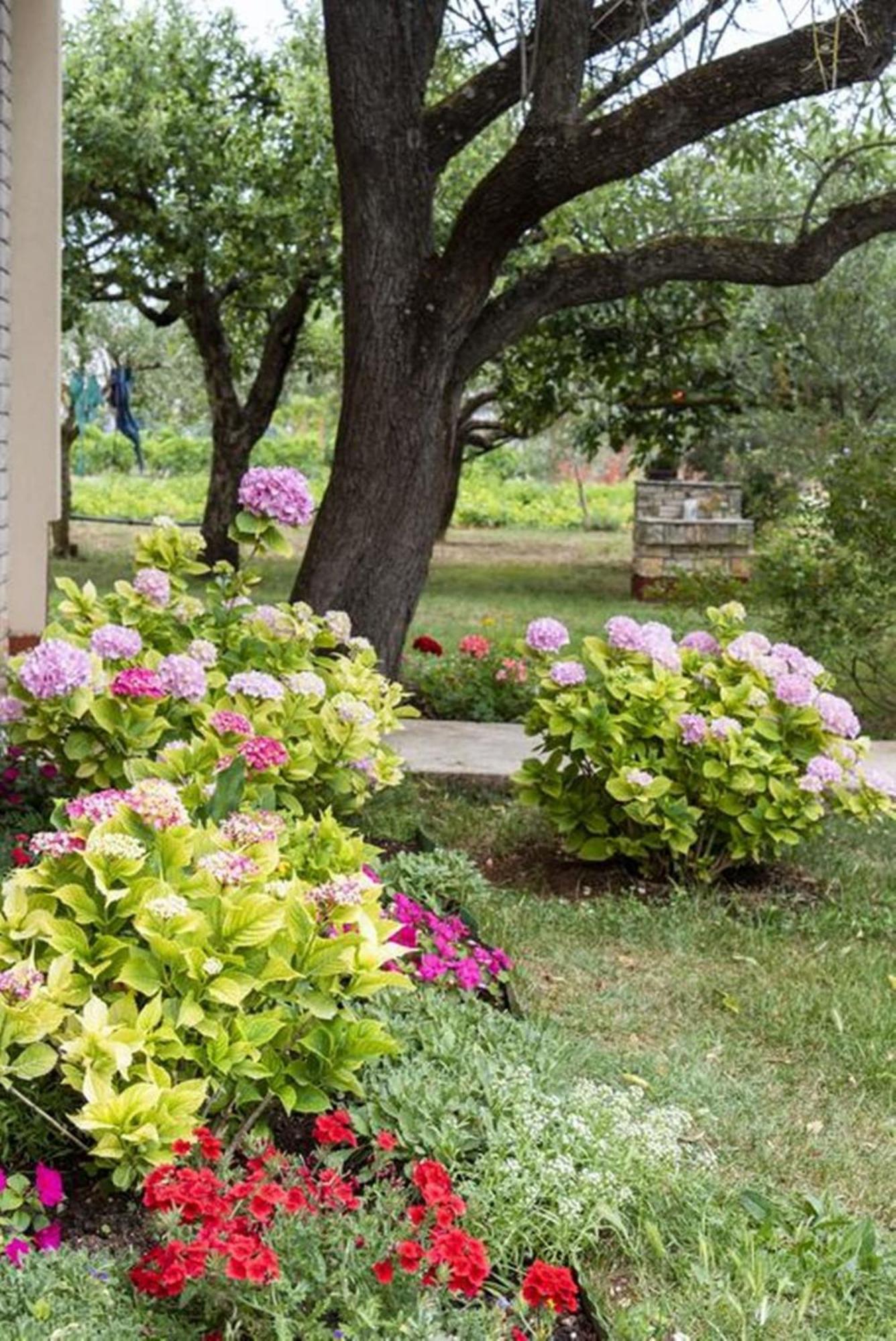 Flower Garden Rhapsody - Modern Family Apartments Near ฟาชานา ภายนอก รูปภาพ